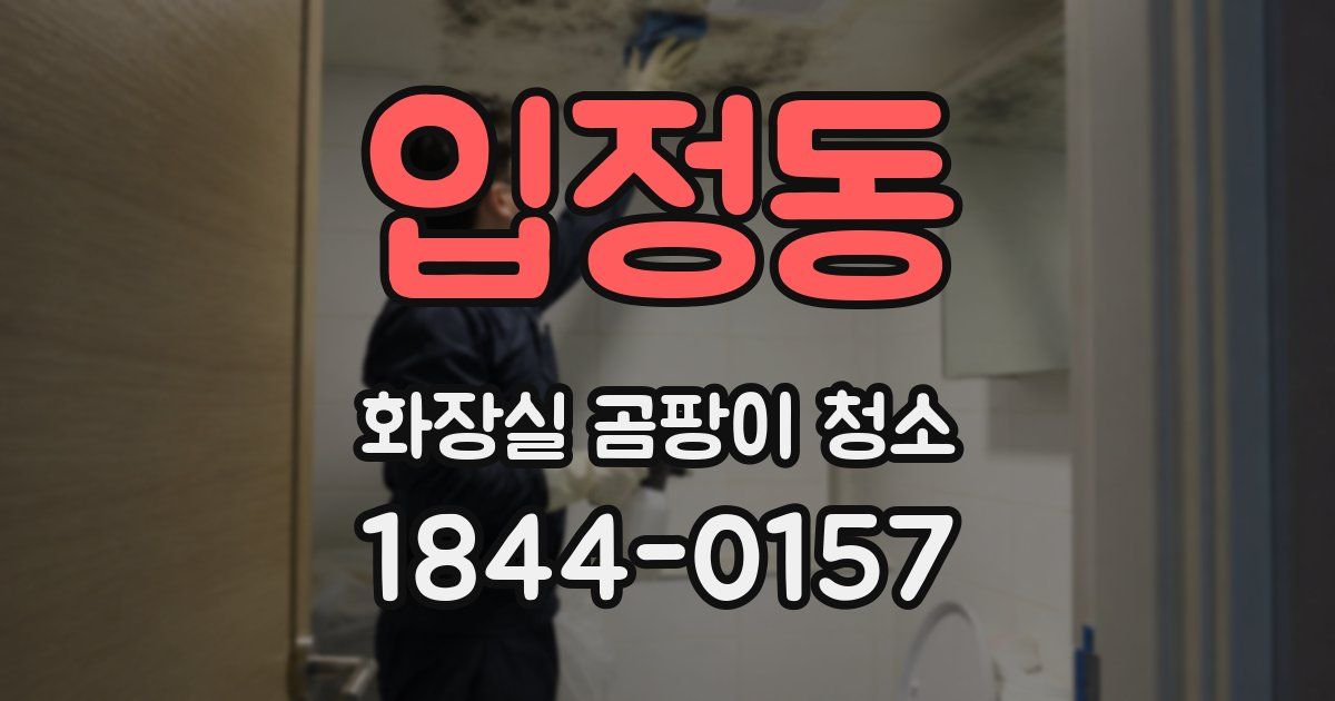 입정동 화장실 곰팡이 청소