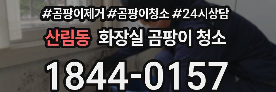 산림동 화장실 곰팡이 청소