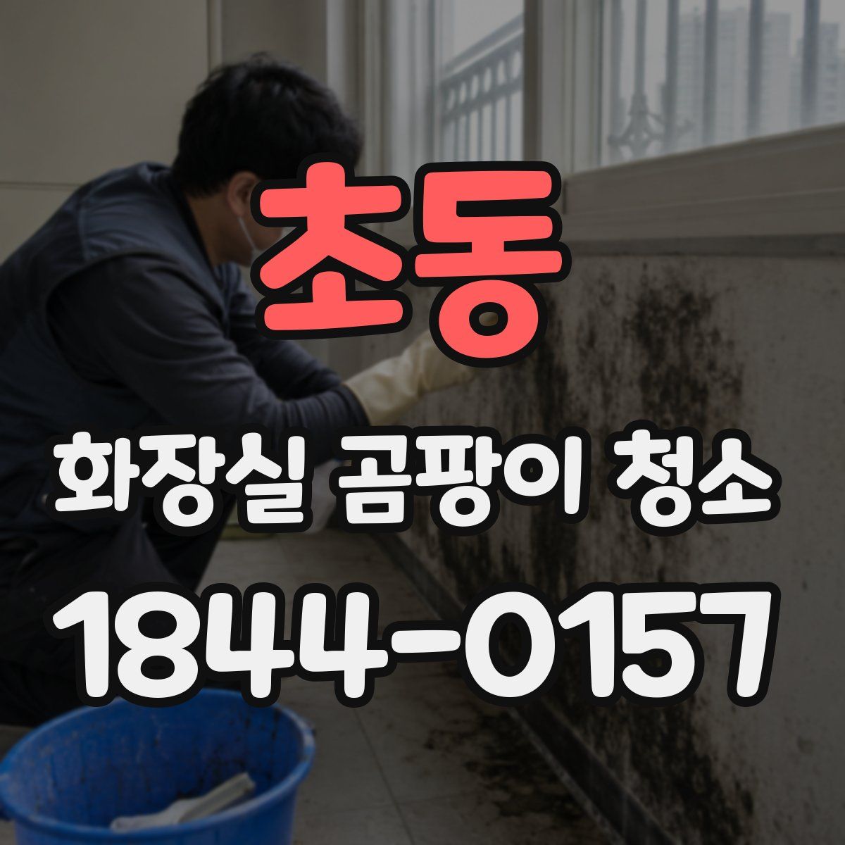 초동 화장실 곰팡이 청소
