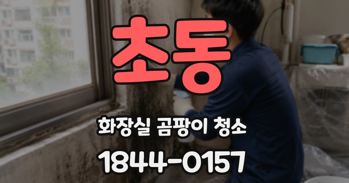 초동 화장실 곰팡이 청소