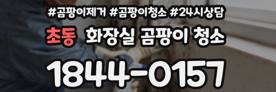 초동 화장실 곰팡이 청소
