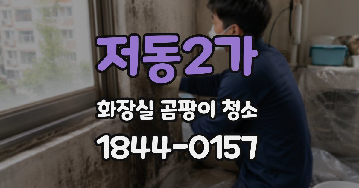 저동2가 화장실 곰팡이 청소