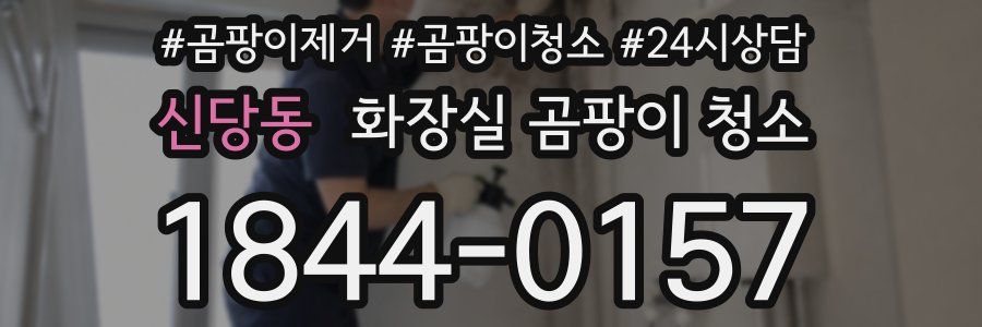 신당동 화장실 곰팡이 청소