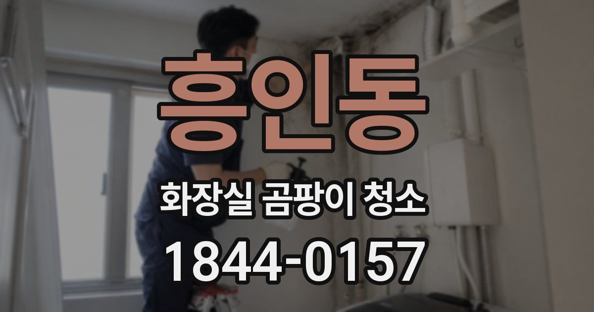 흥인동 화장실 곰팡이 청소