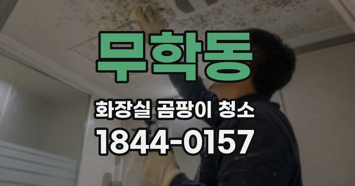 무학동 화장실 곰팡이 청소