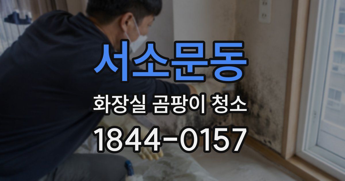 서소문동 화장실 곰팡이 청소