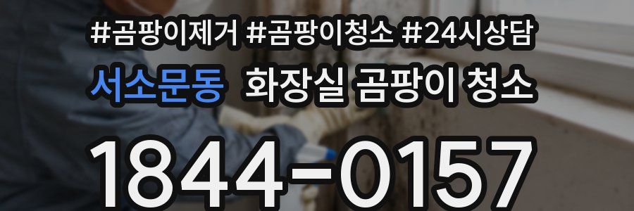 서소문동 화장실 곰팡이 청소