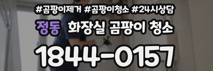 정동 화장실 곰팡이 청소
