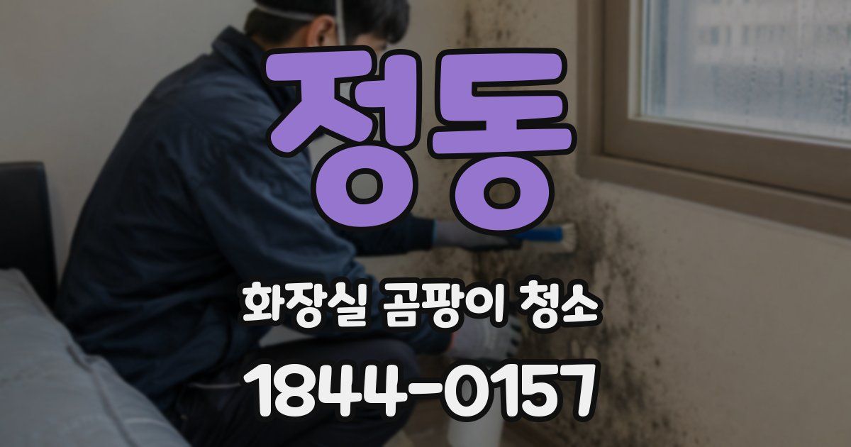 정동 화장실 곰팡이 청소