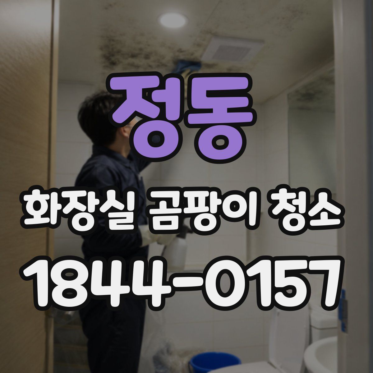 정동 화장실 곰팡이 청소