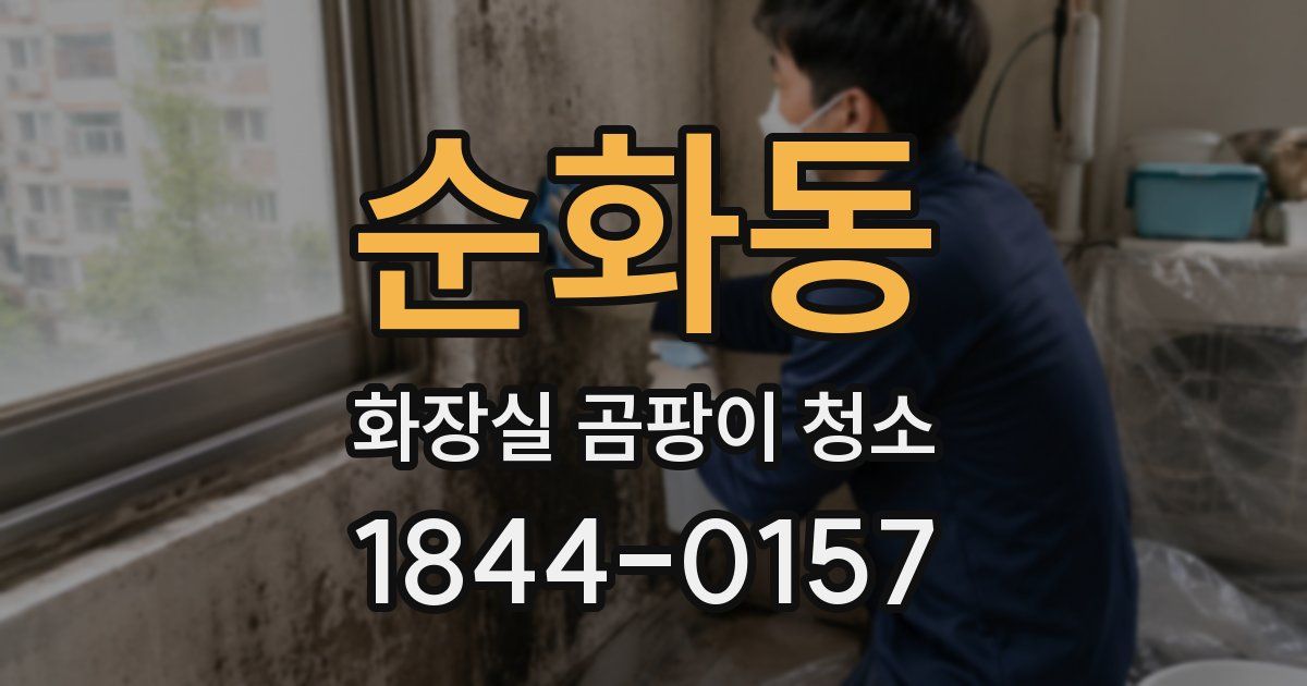 순화동 화장실 곰팡이 청소