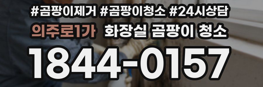 의주로1가 화장실 곰팡이 청소