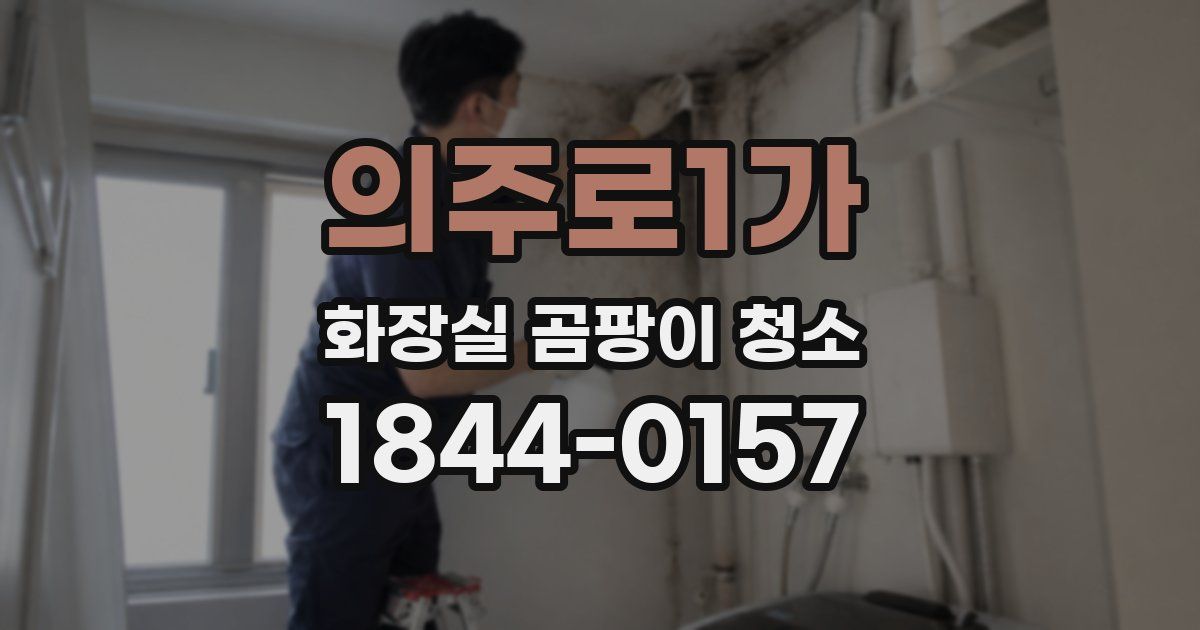 의주로1가 화장실 곰팡이 청소