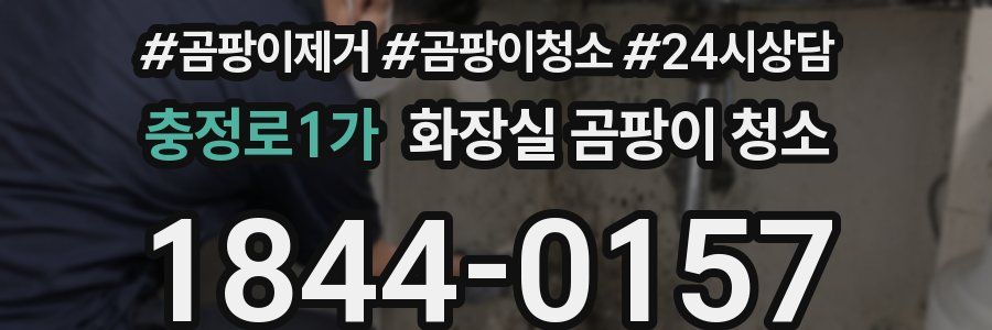 충정로1가 화장실 곰팡이 청소