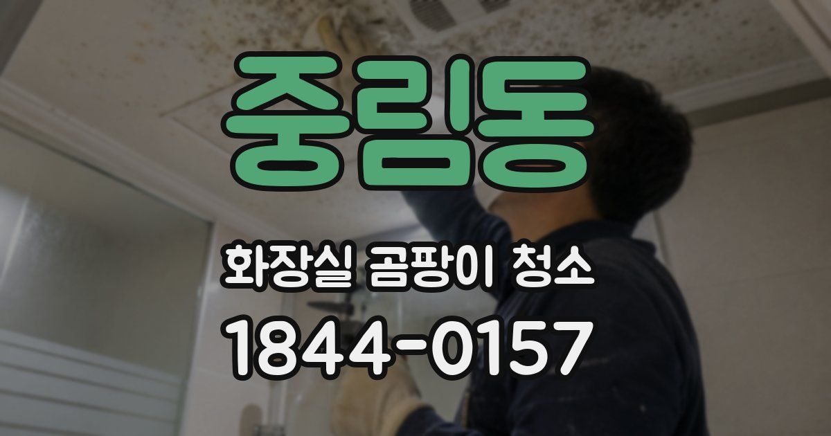 중림동 화장실 곰팡이 청소