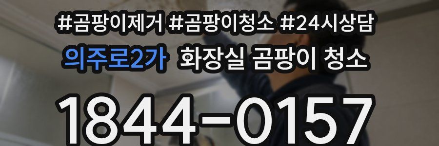 의주로2가 화장실 곰팡이 청소