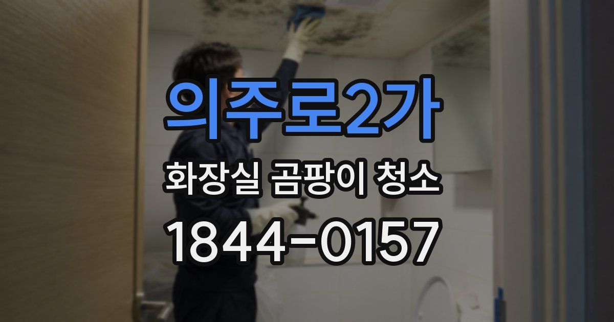 의주로2가 화장실 곰팡이 청소