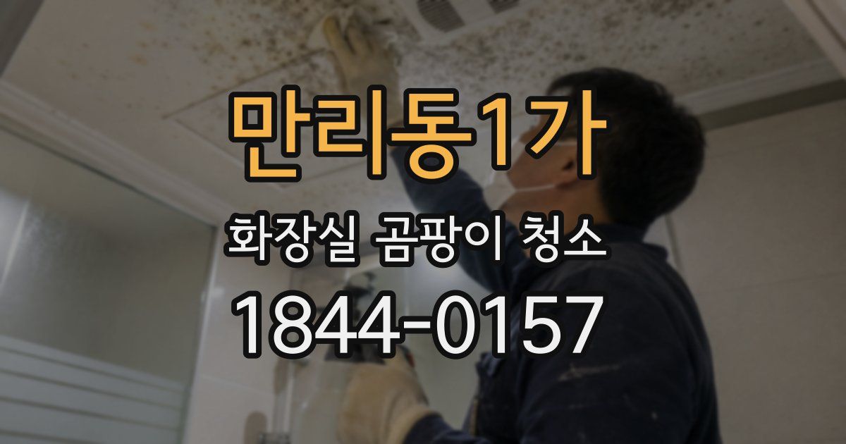 만리동1가 화장실 곰팡이 청소