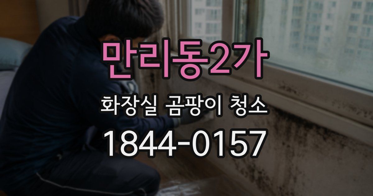 만리동2가 화장실 곰팡이 청소