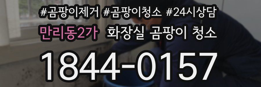 만리동2가 화장실 곰팡이 청소