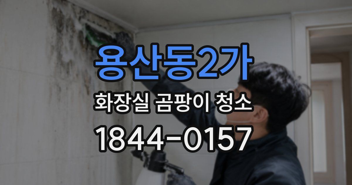 용산동2가 화장실 곰팡이 청소