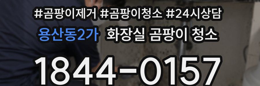 용산동2가 화장실 곰팡이 청소