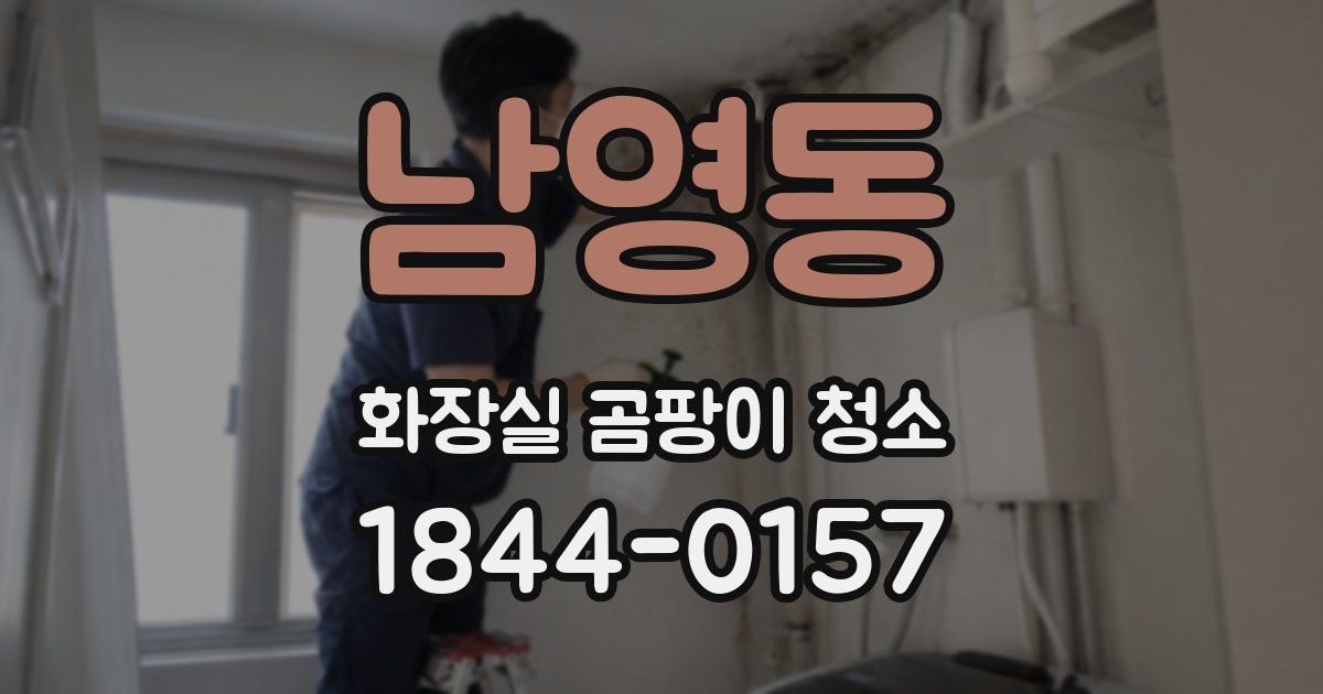 남영동 화장실 곰팡이 청소