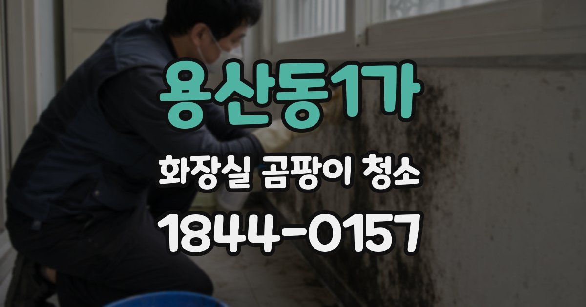 용산동1가 화장실 곰팡이 청소