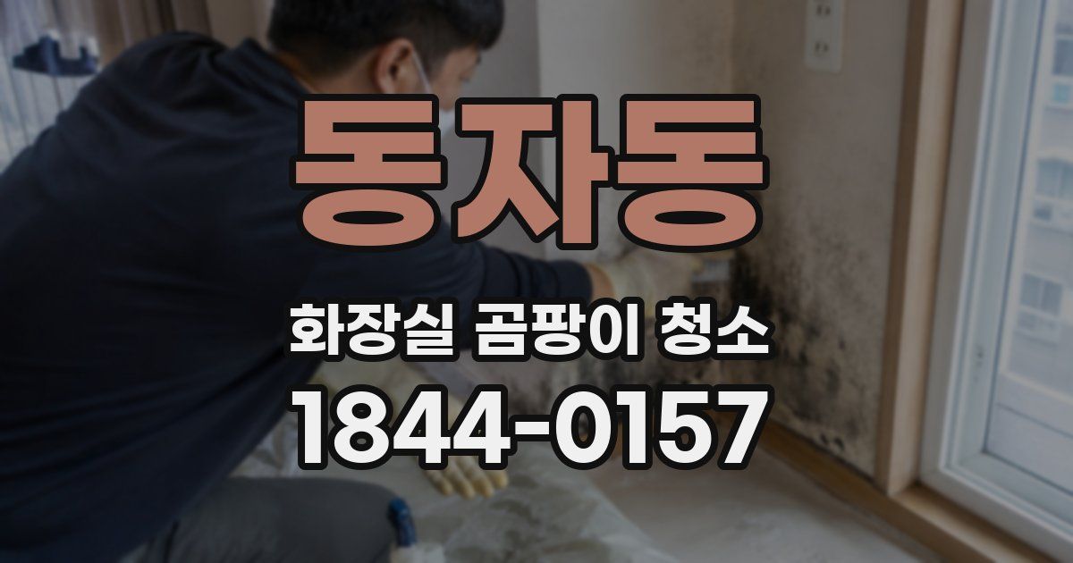 동자동 화장실 곰팡이 청소