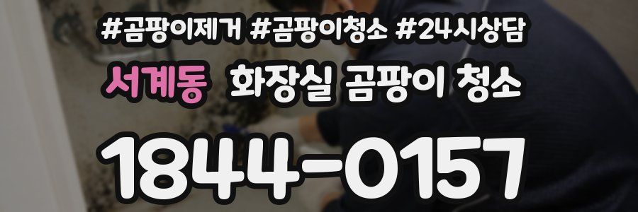 서계동 화장실 곰팡이 청소