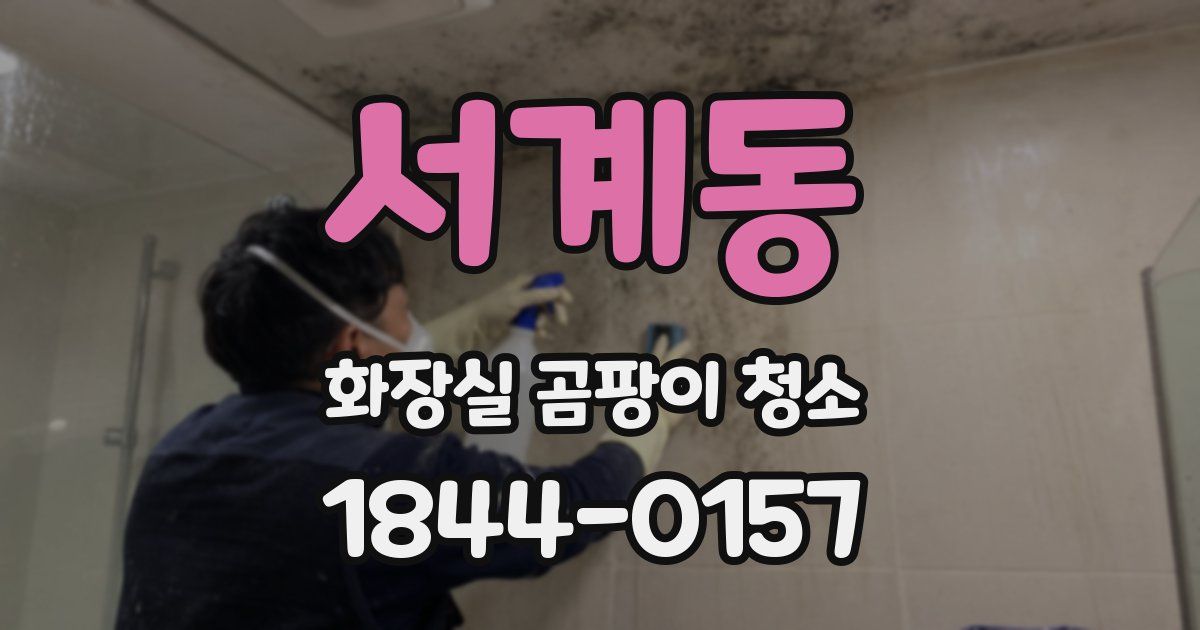 서계동 화장실 곰팡이 청소