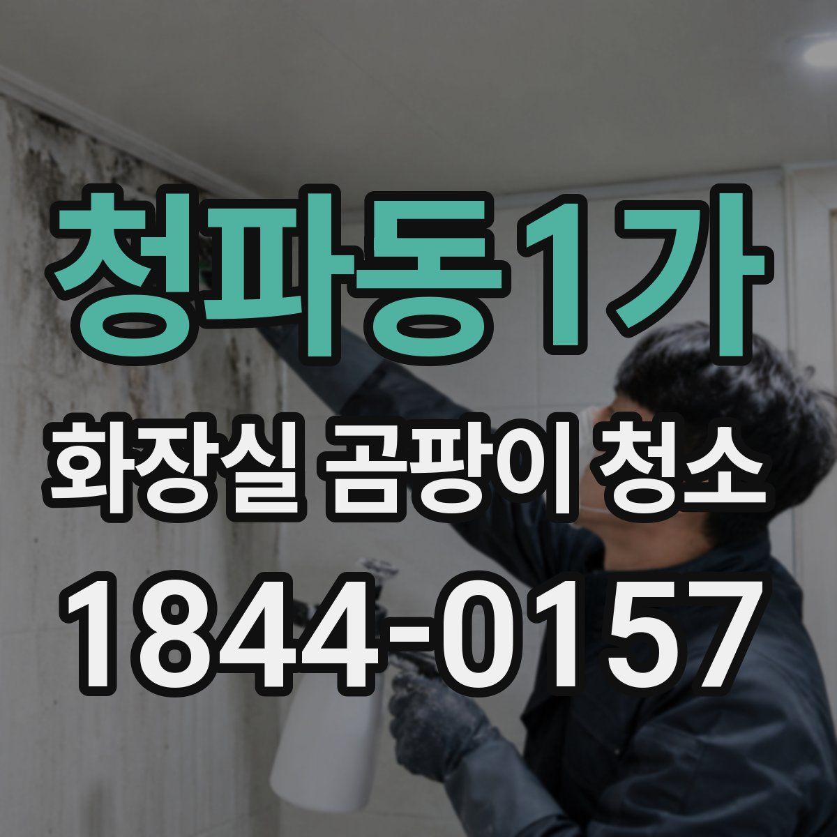 청파동1가 화장실 곰팡이 청소