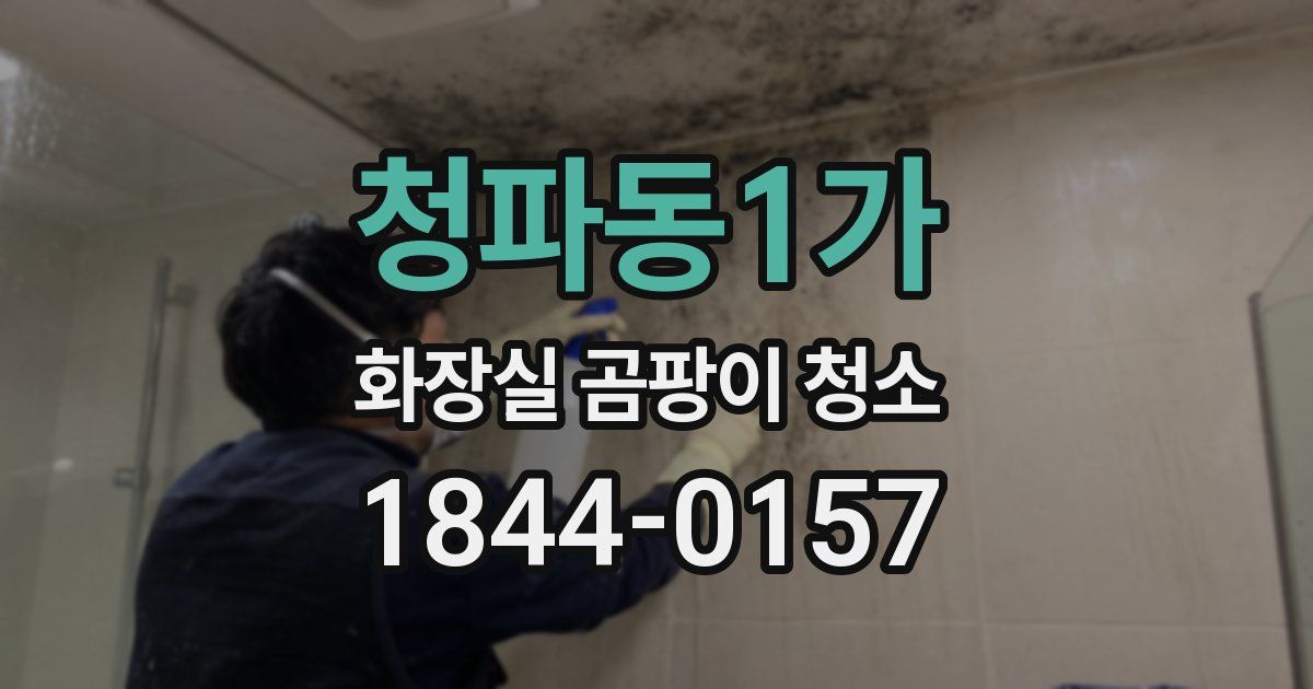 청파동1가 화장실 곰팡이 청소