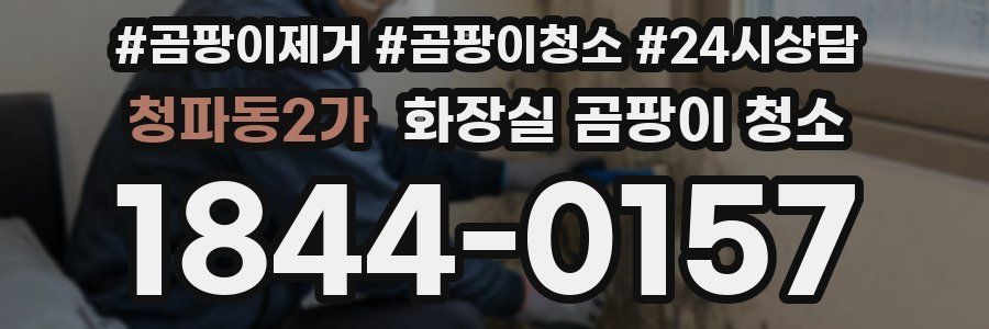 청파동2가 화장실 곰팡이 청소