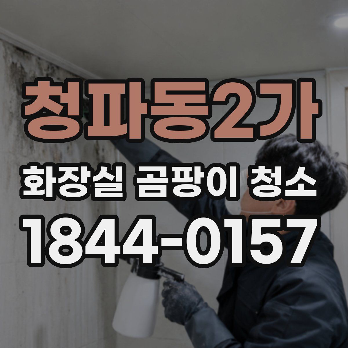 청파동2가 화장실 곰팡이 청소