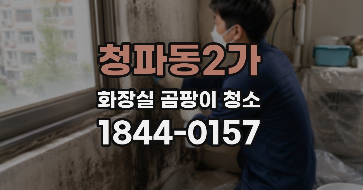 청파동2가 화장실 곰팡이 청소