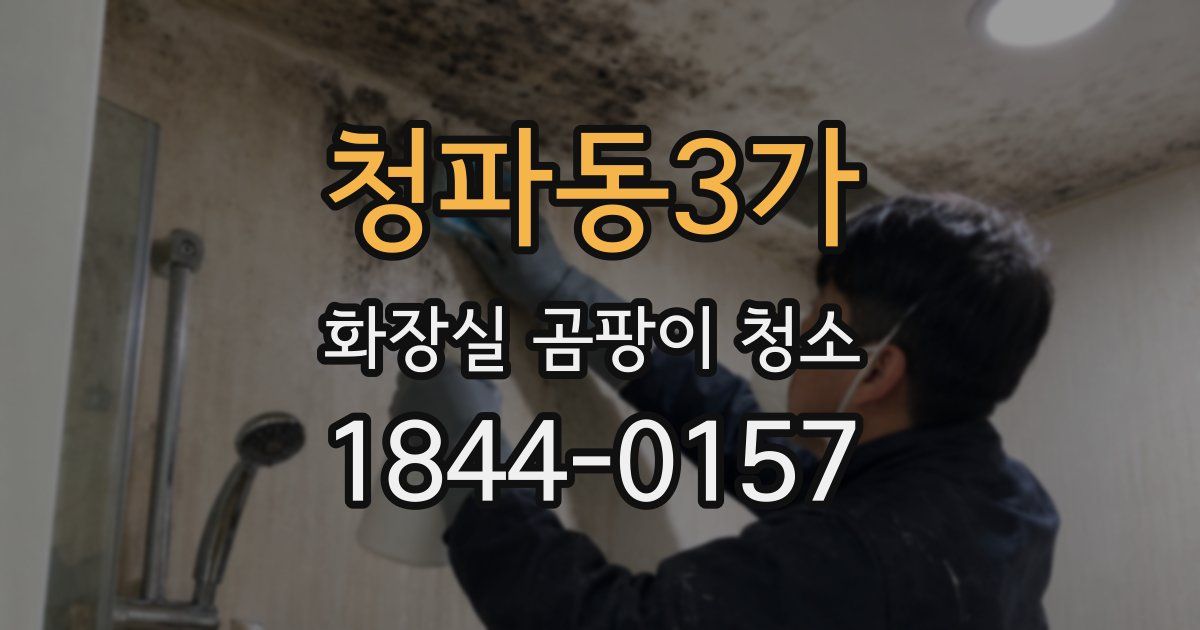 청파동3가 화장실 곰팡이 청소