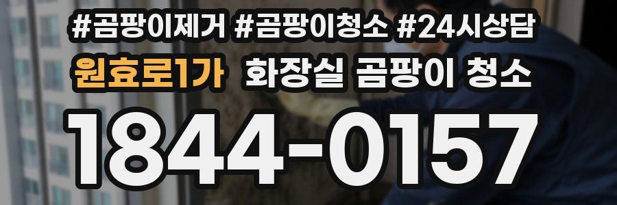 원효로1가 화장실 곰팡이 청소