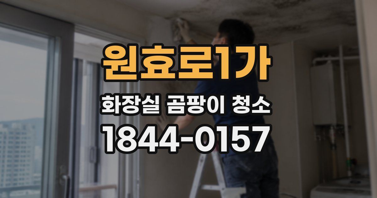 원효로1가 화장실 곰팡이 청소