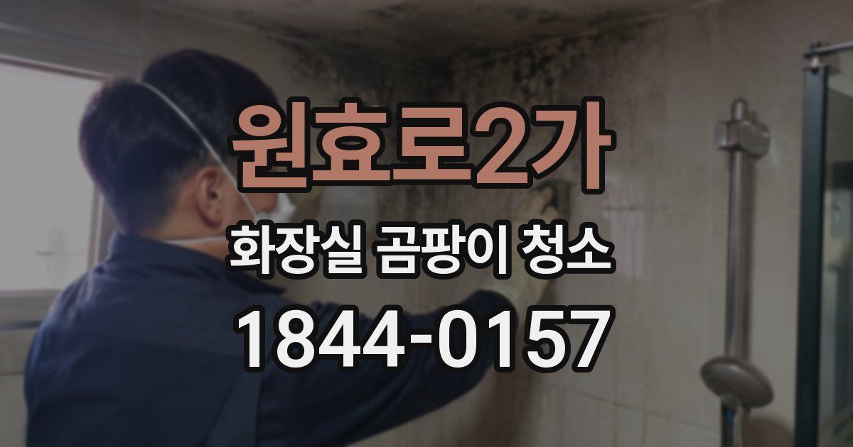 원효로2가 화장실 곰팡이 청소