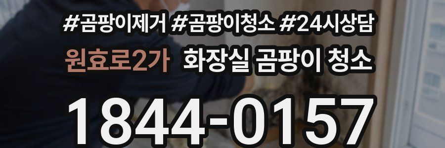 원효로2가 화장실 곰팡이 청소