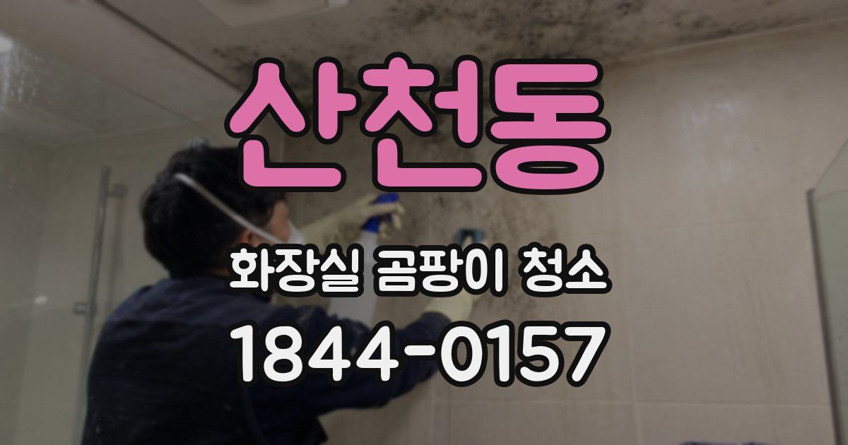 산천동 화장실 곰팡이 청소