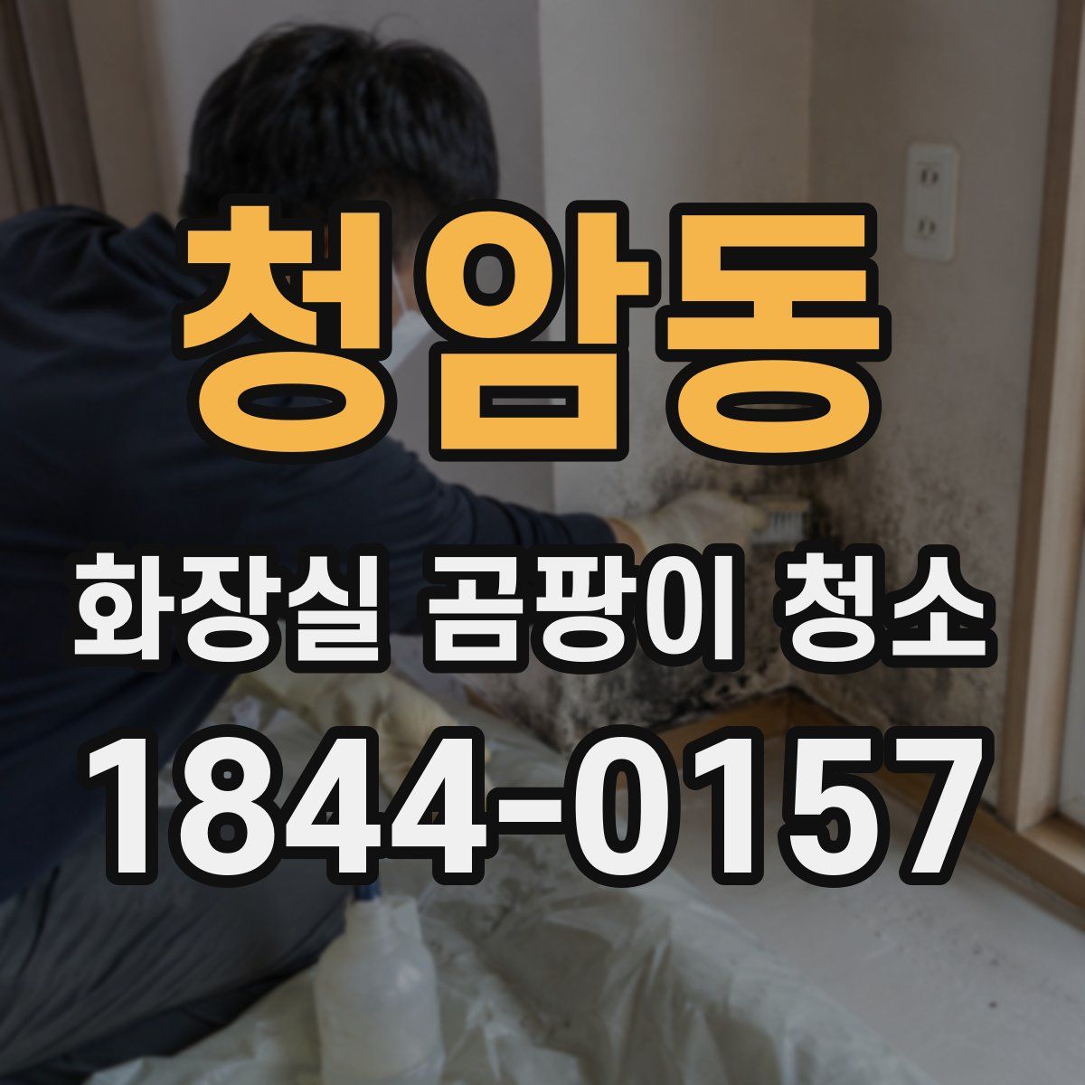 청암동 화장실 곰팡이 청소