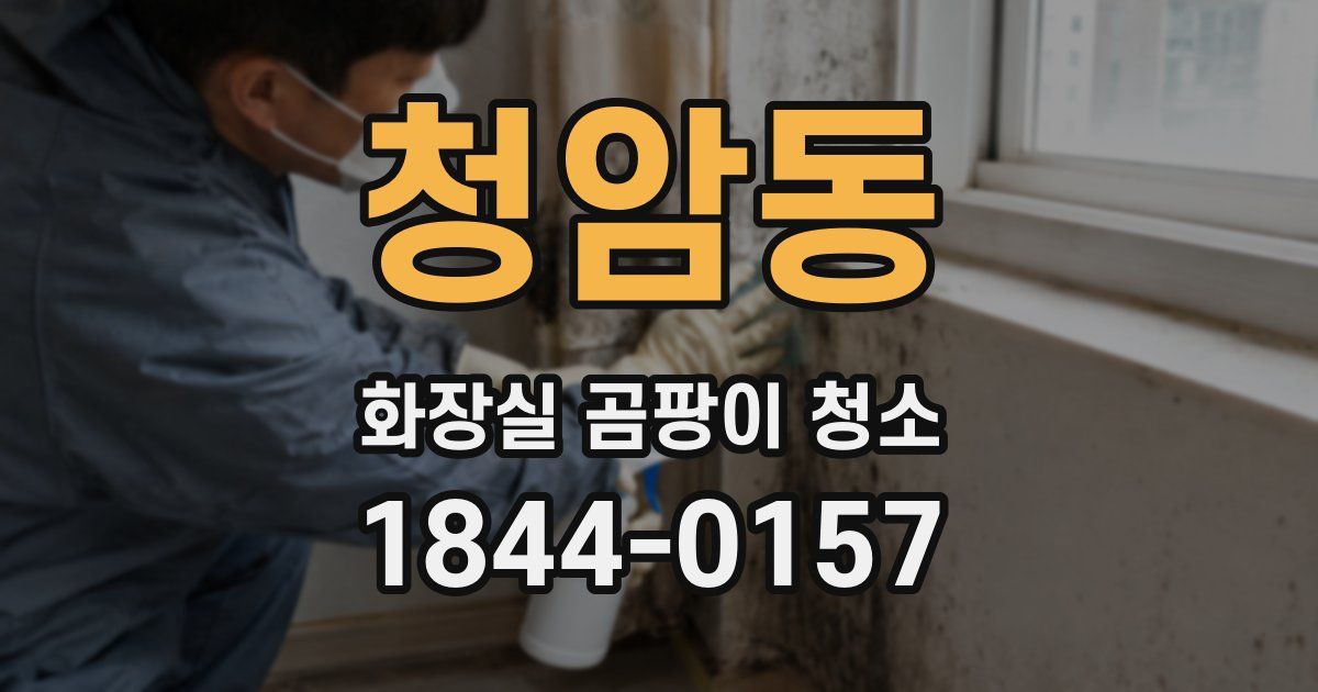 청암동 화장실 곰팡이 청소