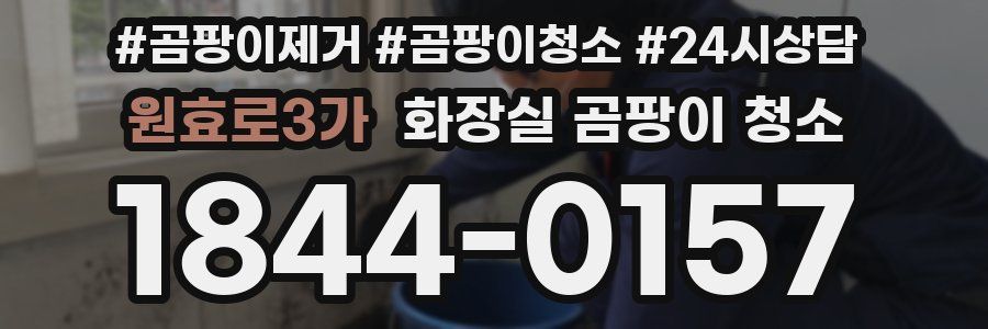 원효로3가 화장실 곰팡이 청소