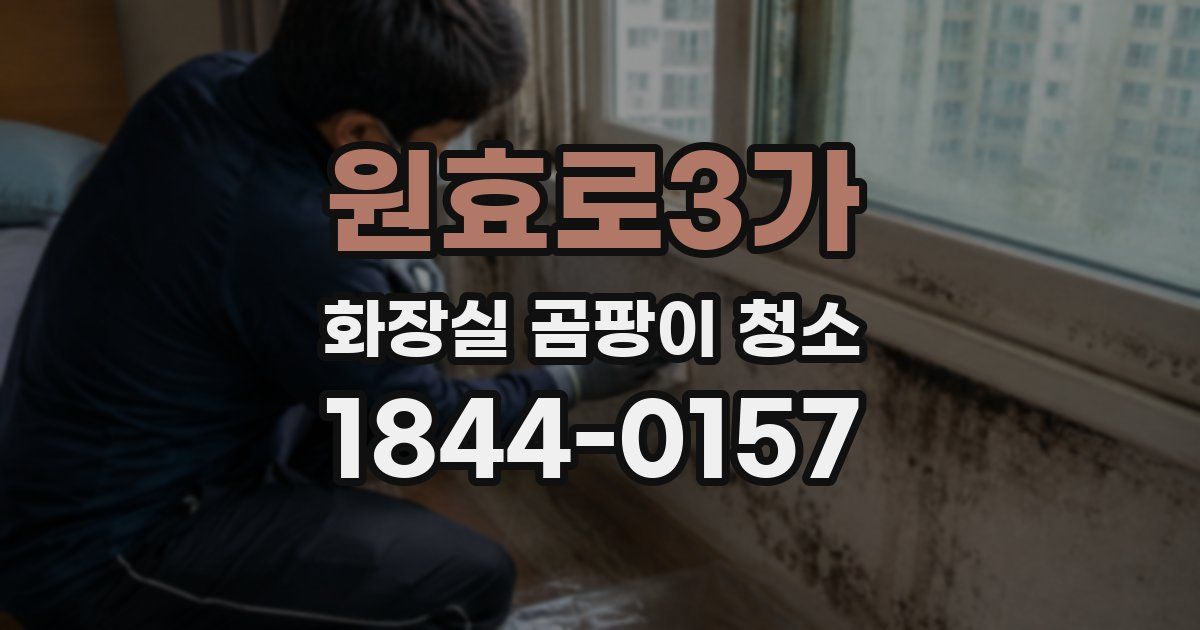 원효로3가 화장실 곰팡이 청소