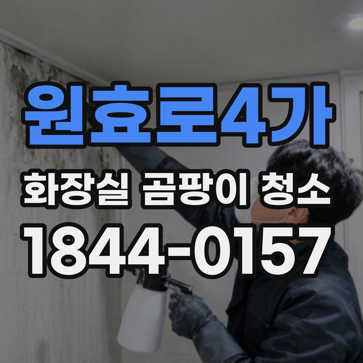 원효로4가 화장실 곰팡이 청소