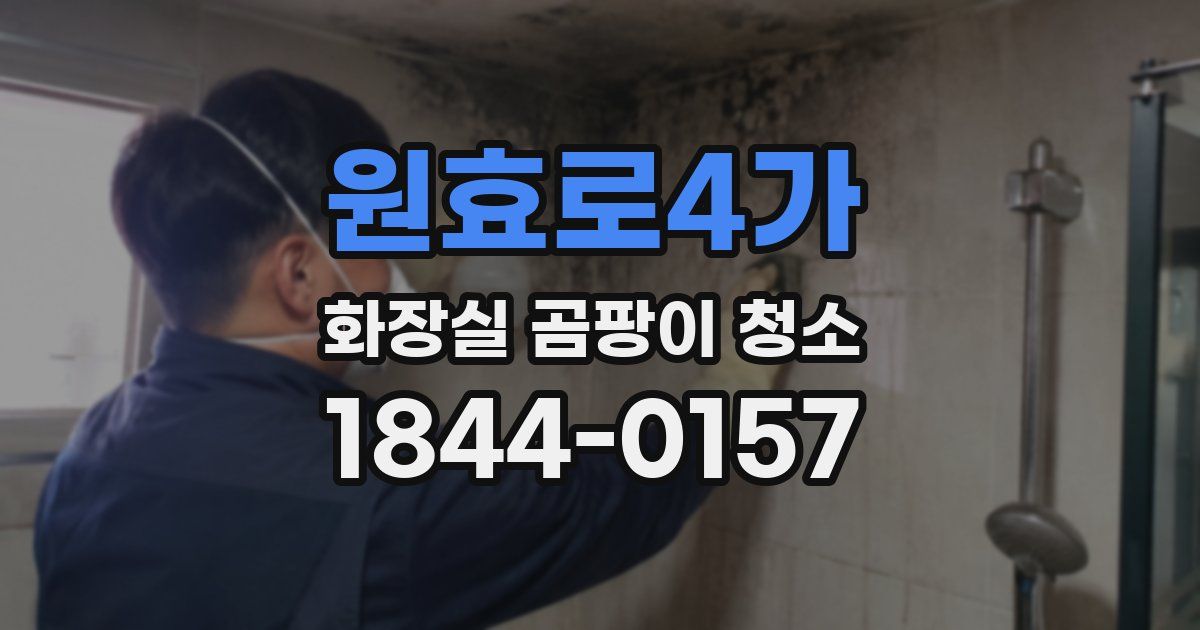 원효로4가 화장실 곰팡이 청소