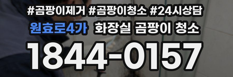 원효로4가 화장실 곰팡이 청소