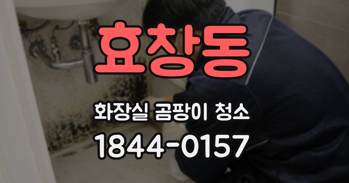 효창동 화장실 곰팡이 청소